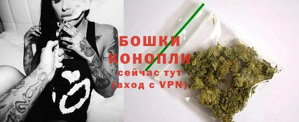гашик Козельск