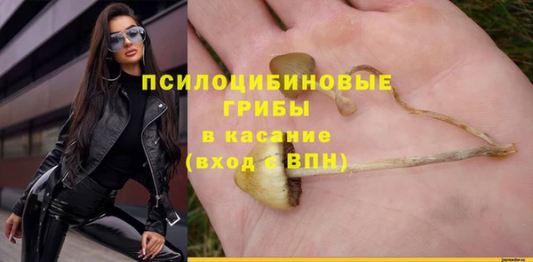 трава Киренск