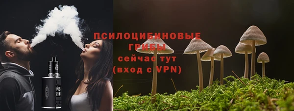 твердый Киреевск