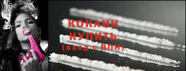 гашик Козельск