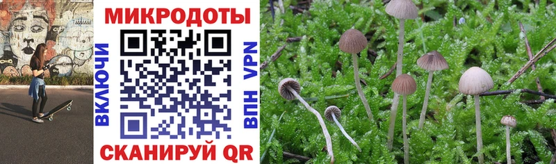 Купить  Донецк  Псилоцибиновые грибы ЛСД 